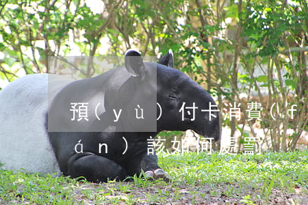 預(yù)付卡消費(fèi)侵權(quán)該如何處罰？